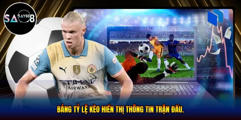 Bảng tỷ lệ kèo hiển thị thông tin trận đấu