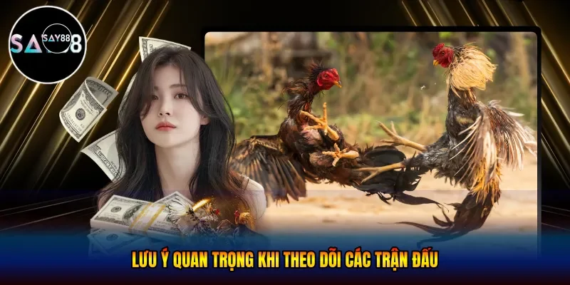 Lưu ý quan trọng khi theo dõi các trận đấu