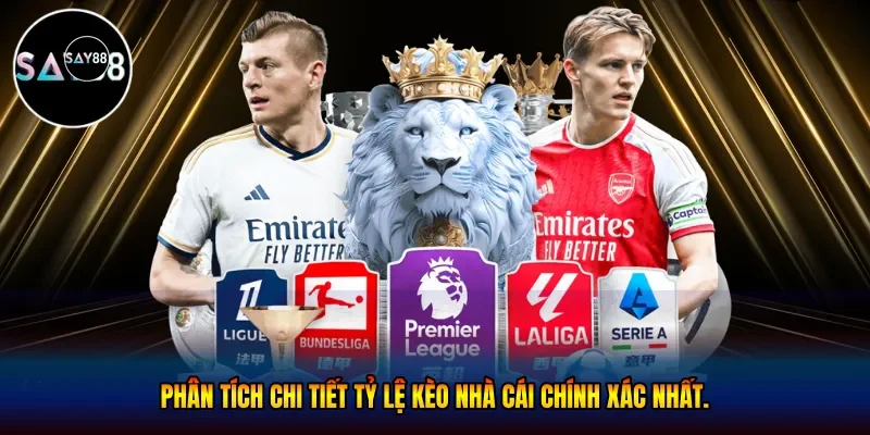  Phân tích chi tiết tỷ lệ kèo nhà cái chính xác nhất